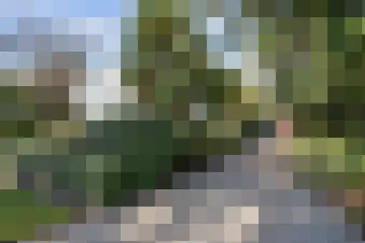 Kleiweg 16 Anna Paulowna thumbnail 5