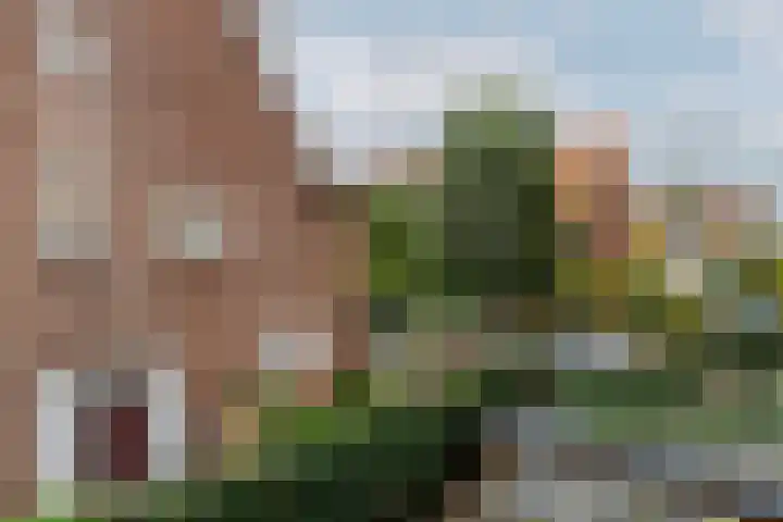 Kleiweg 194 A Rotterdam thumbnail 16