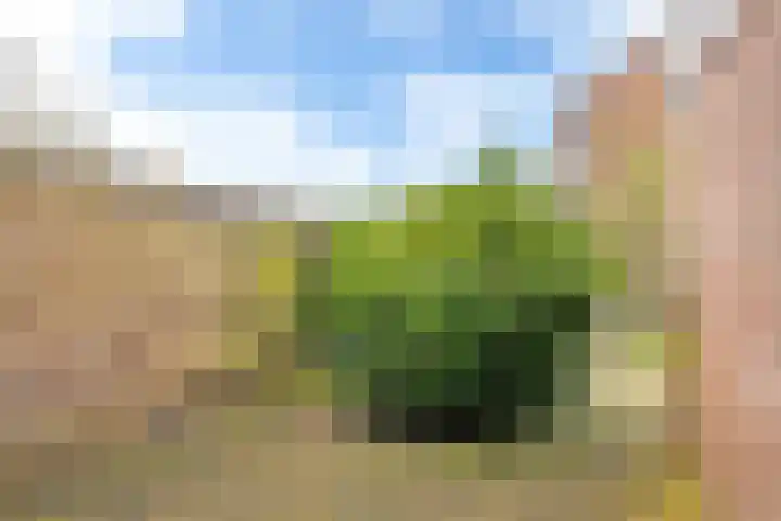 Kleiweg 2 Makkum thumbnail 18