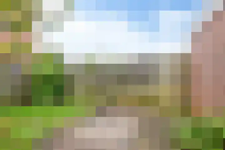 Kleiweg 2 Makkum thumbnail 21