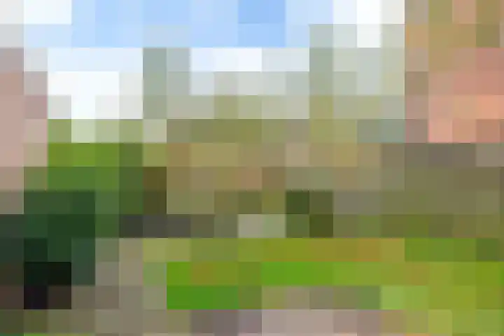 Kleiweg 2 Makkum thumbnail 22
