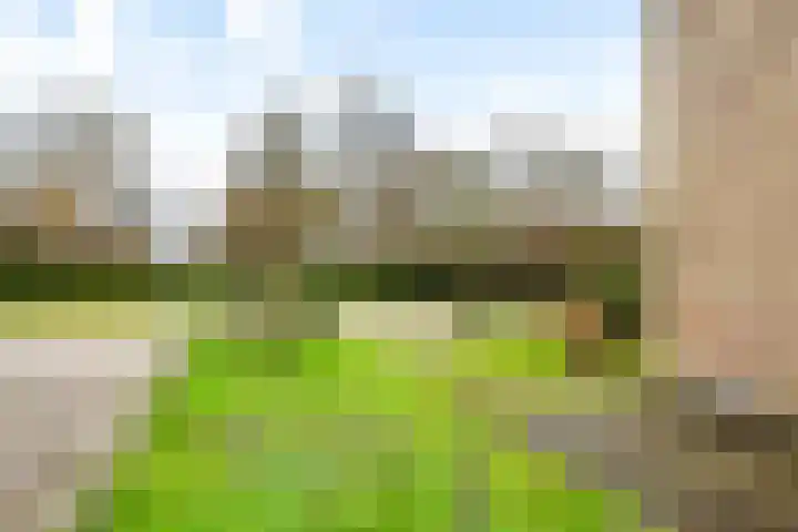 Kleiweg 2 Makkum thumbnail 23