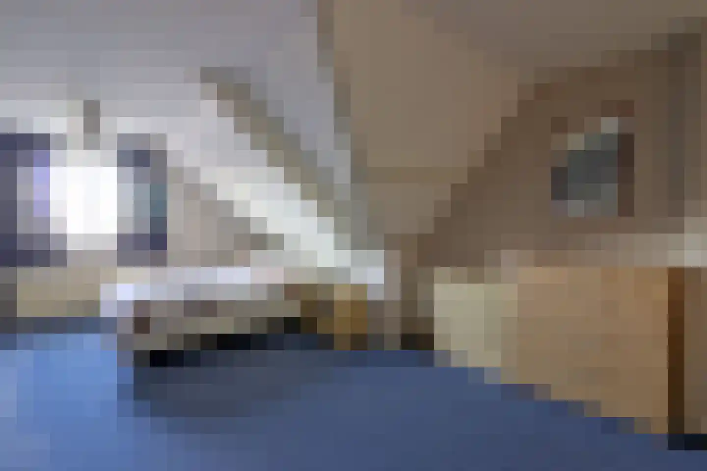 Kleiweg 21 C Marknesse thumbnail 15
