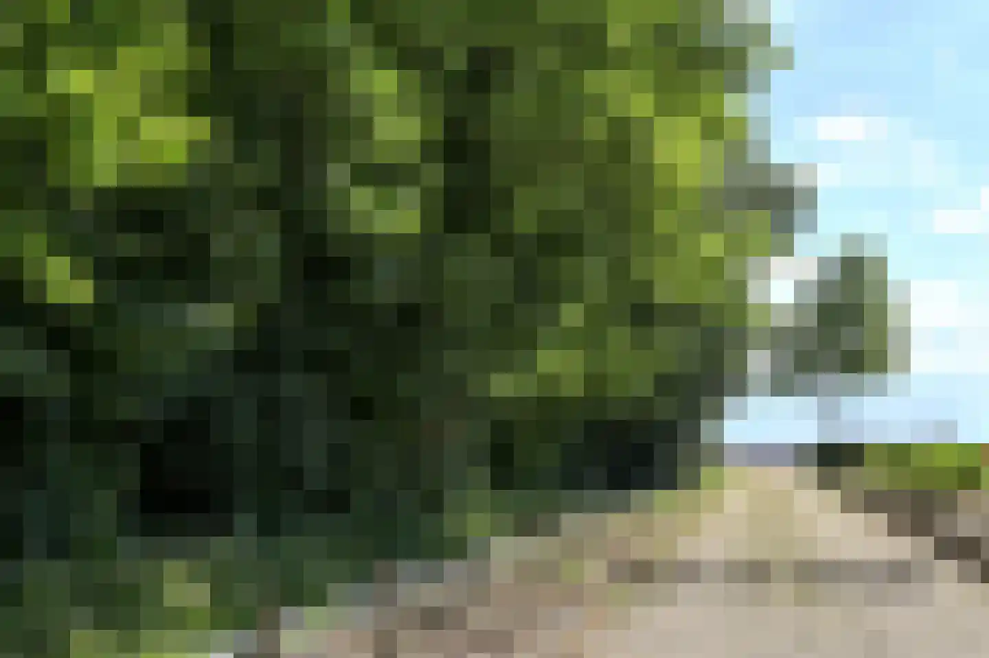 Kleiweg 21 C Marknesse thumbnail 31