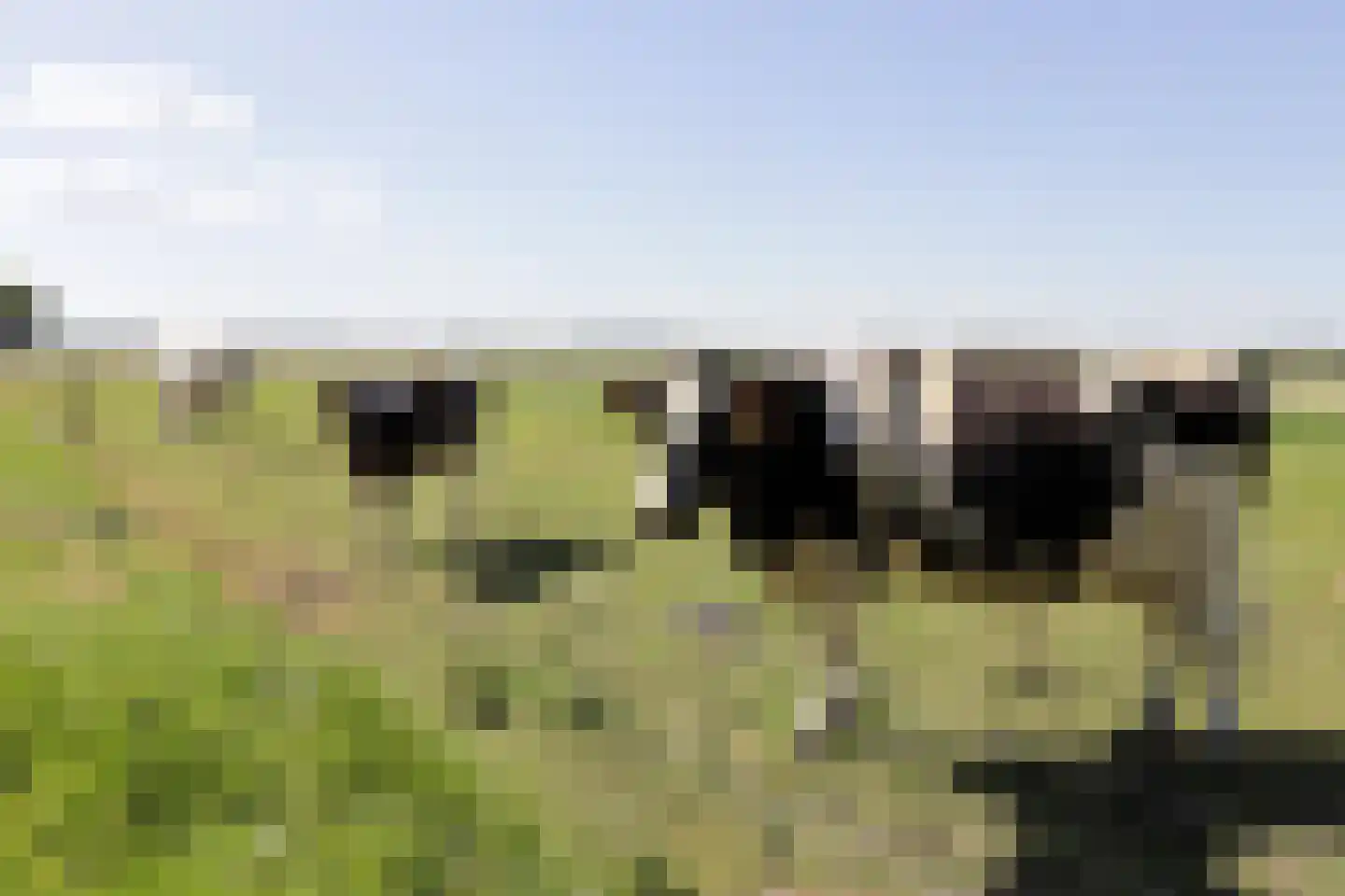 Kleiweg 21 C Marknesse thumbnail 39