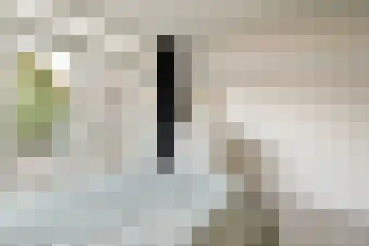 Kleiweg 3 B Rotterdam thumbnail 12