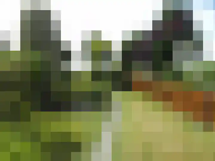 Kleiweg 31 B Marknesse thumbnail 12