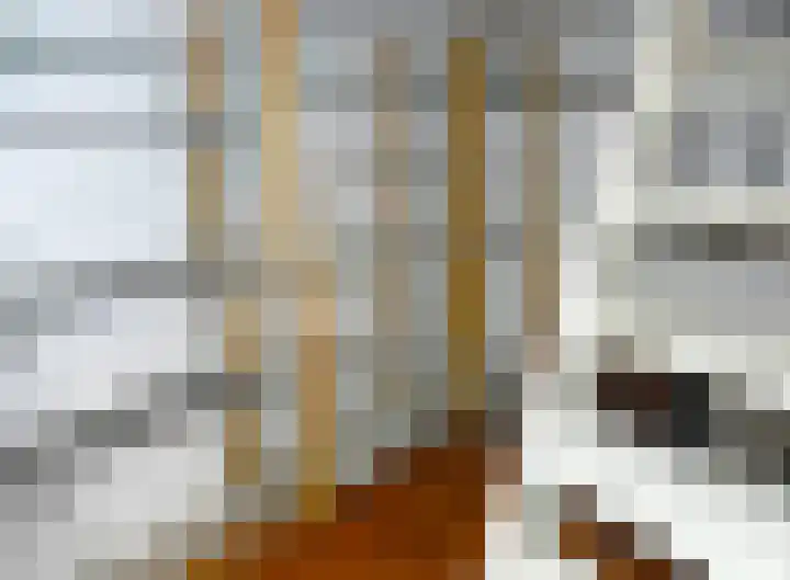 Kleiweg 31 B Marknesse thumbnail 21