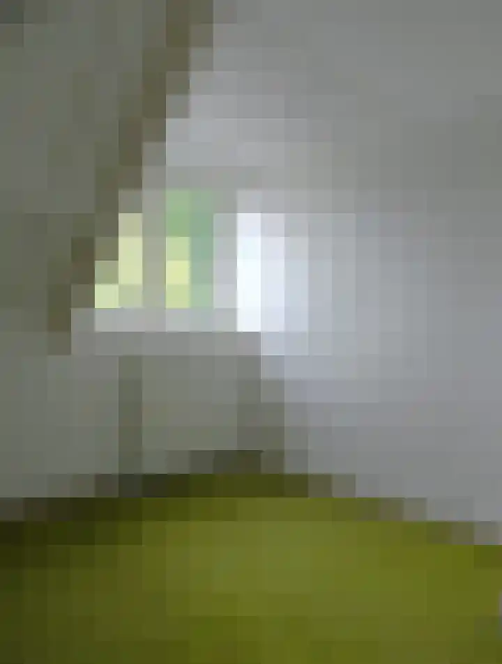 Kleiweg 31 B Marknesse thumbnail 37