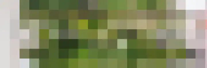 Kleiweg 31 B Marknesse thumbnail 4