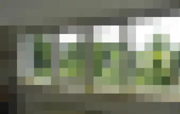 Kleiweg 31 B Marknesse thumbnail 47