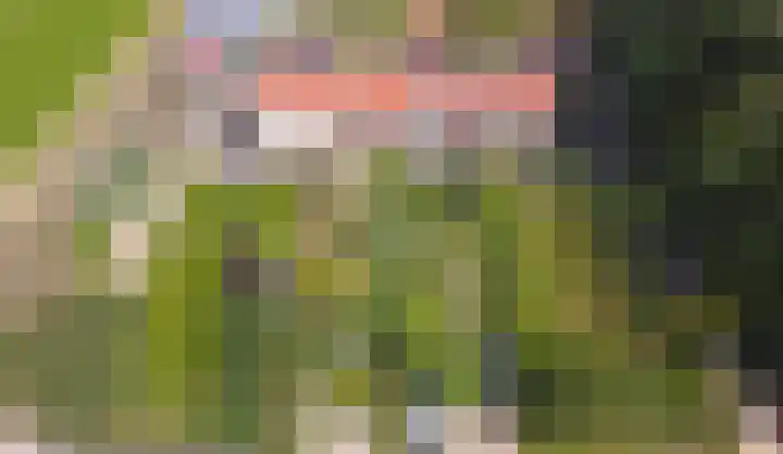 Kleiweg 31 B Marknesse thumbnail 5