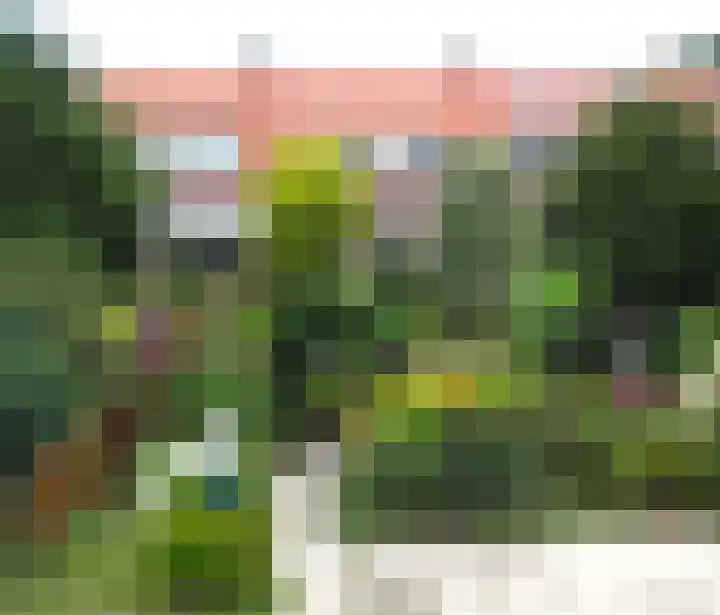 Kleiweg 31 B Marknesse thumbnail 55