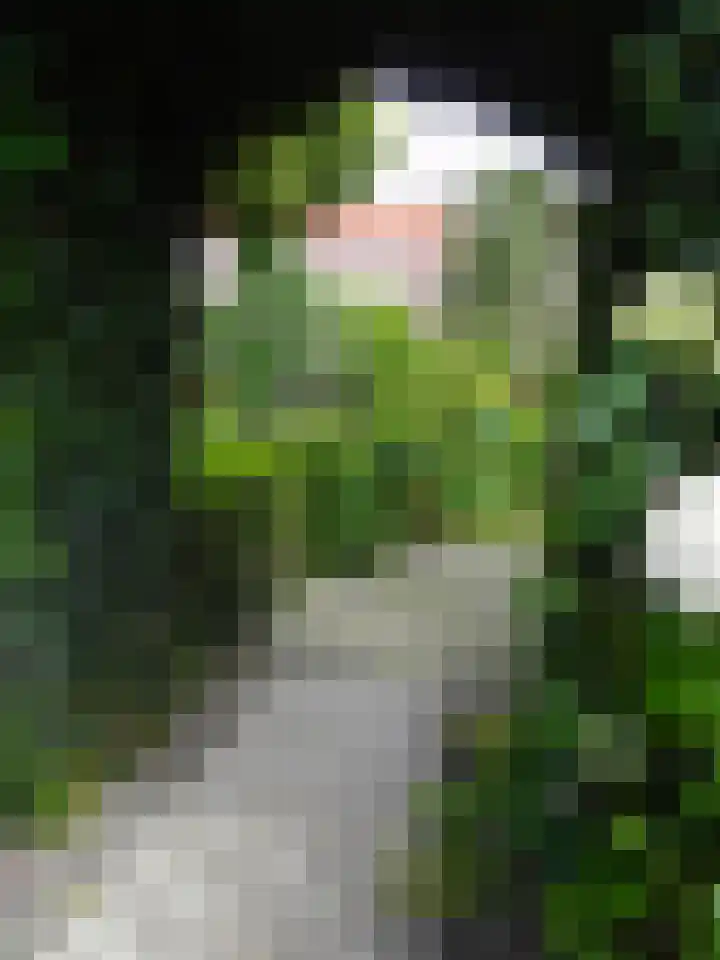 Kleiweg 31 B Marknesse thumbnail 7