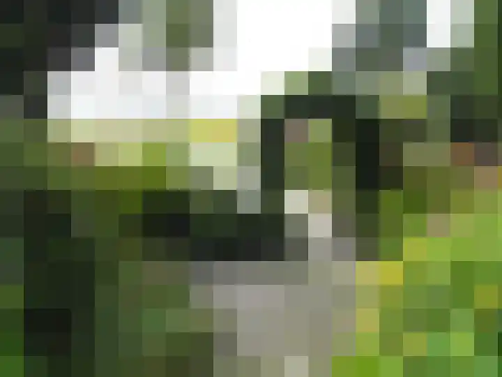Kleiweg 31 B Marknesse thumbnail 8