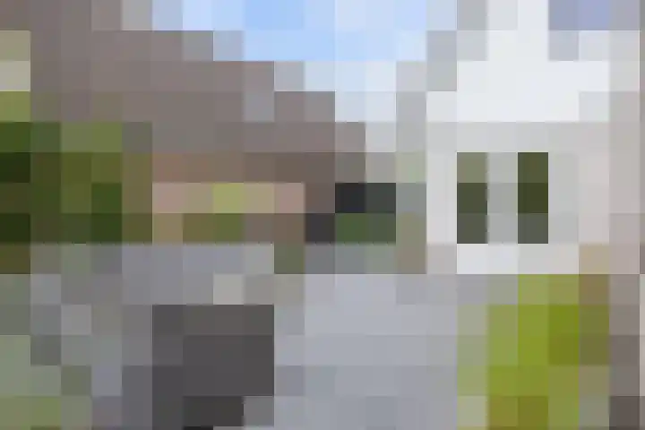 Kleiweg 35 Aduard thumbnail 47