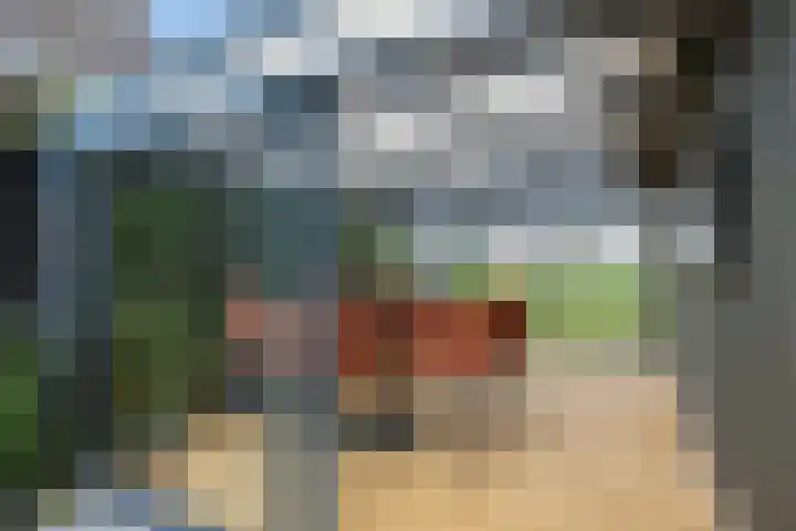 Kleiweg 35 Aduard thumbnail 49