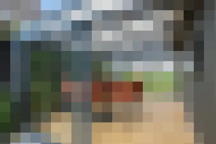 Kleiweg 35 Aduard thumbnail 5