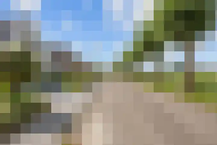 Kleiweg 35 Aduard thumbnail 8