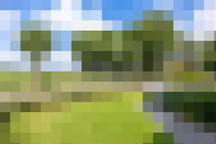 Kleiweg 35 Aduard thumbnail 9