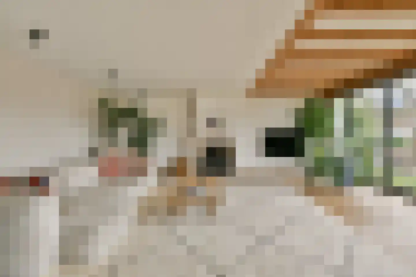 Kleiweg 4 Baambrugge thumbnail 15