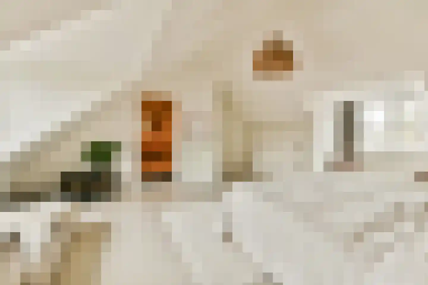 Kleiweg 4 Baambrugge thumbnail 22