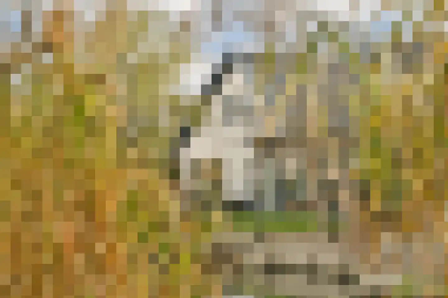 Kleiweg 4 Baambrugge thumbnail 39