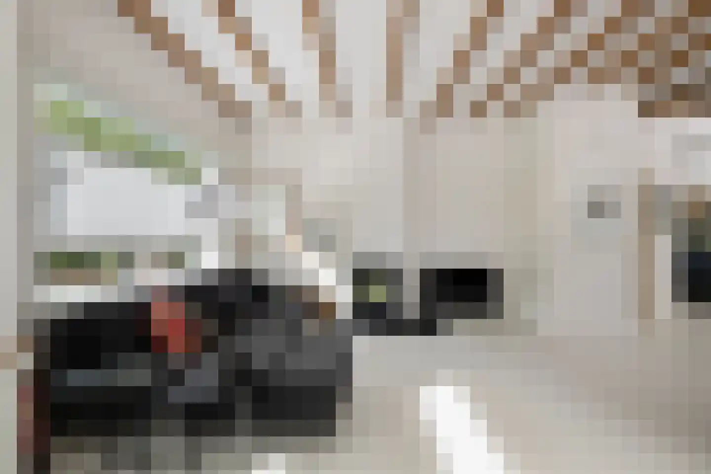 Kleiweg 415 Rotterdam thumbnail 17