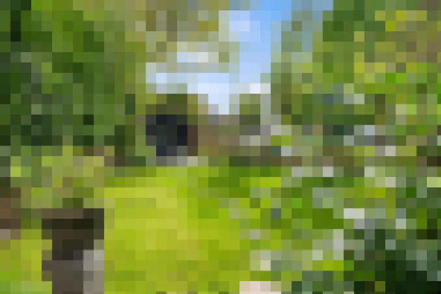 Kleiweg 415 Rotterdam thumbnail 42