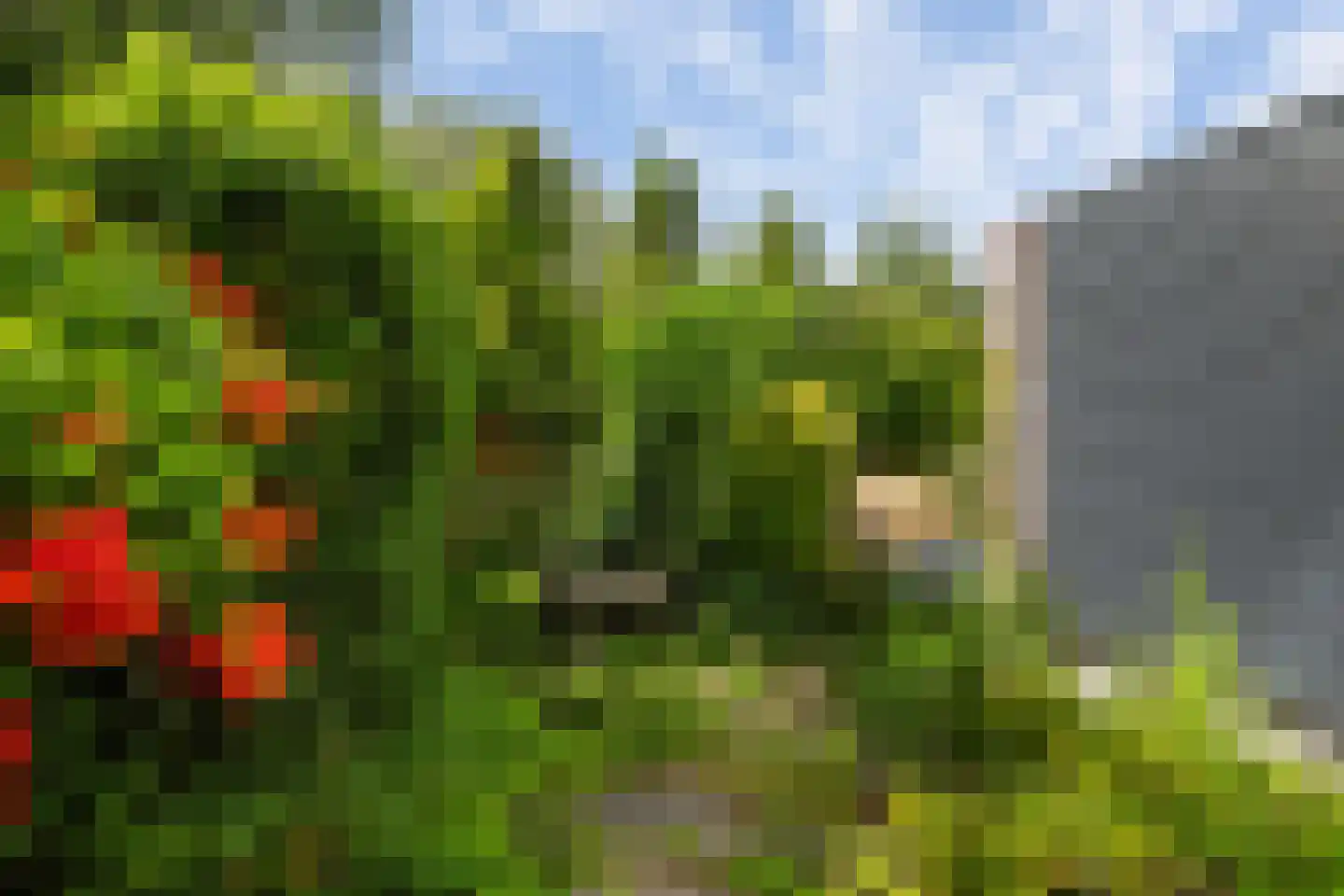 Kleiweg 78 Rotterdam thumbnail 9