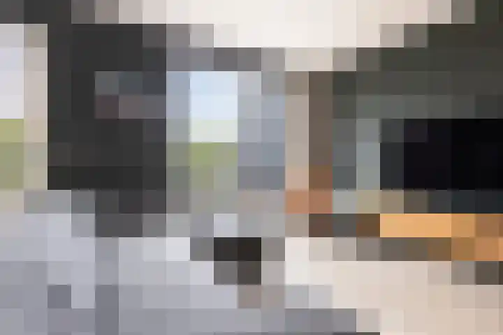 Kleiwerd 108 Groningen thumbnail 11