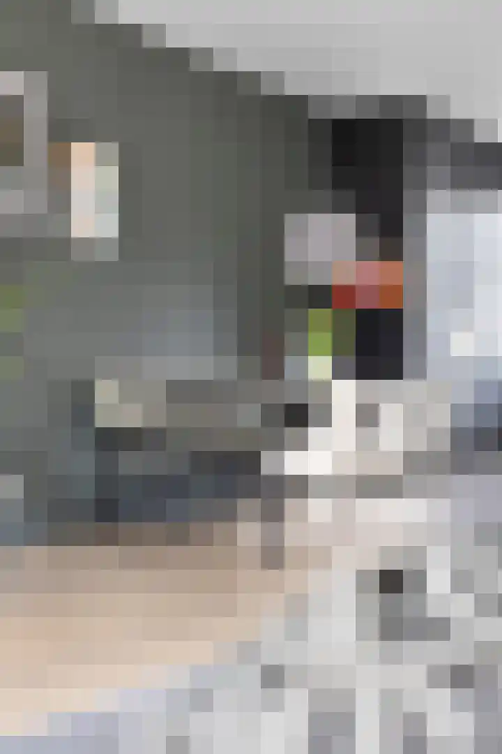 Kleiwerd 108 Groningen thumbnail 15