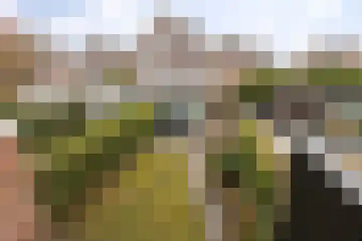 Kleiwerd 108 Groningen thumbnail 37