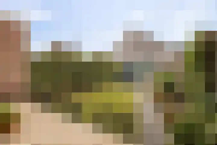 Kleiwerd 108 Groningen thumbnail 38