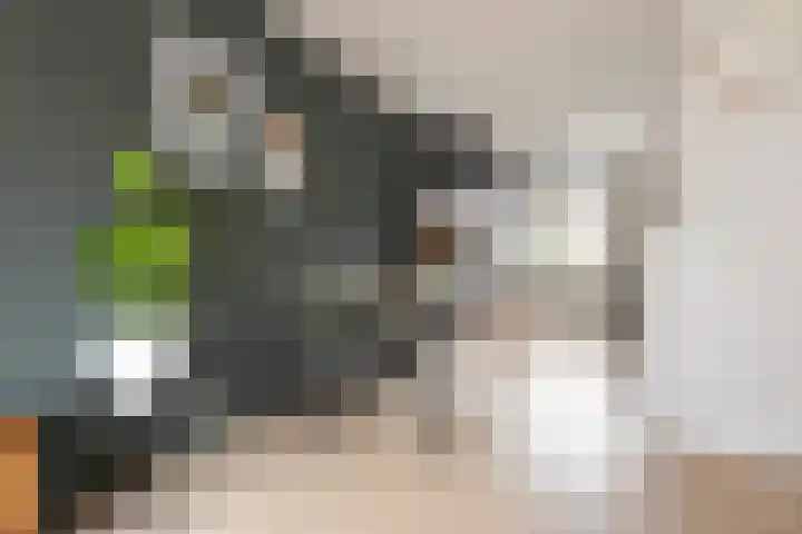 Kleiwerd 108 Groningen thumbnail 4
