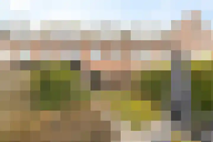 Kleiwerd 108 Groningen thumbnail 43