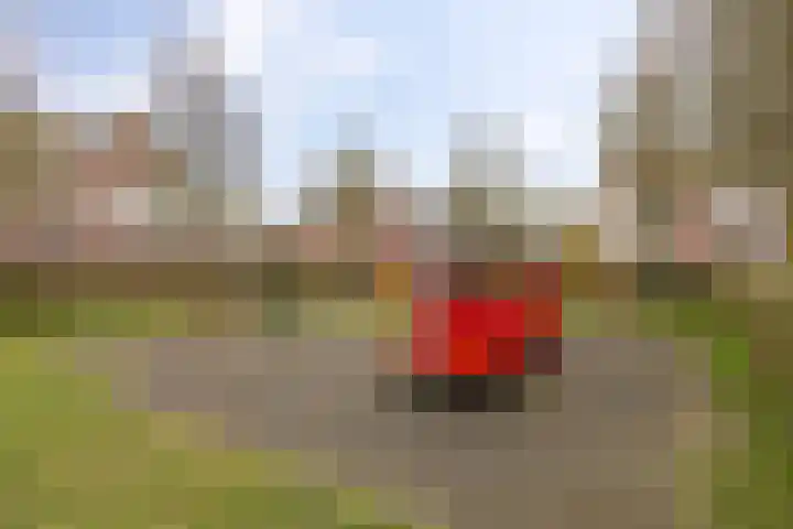 Kleiwerd 108 Groningen thumbnail 45