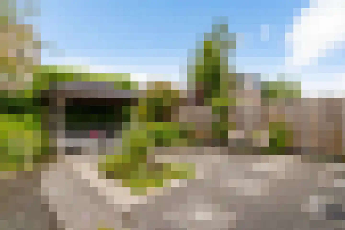 Kleiwerd 60 Groningen thumbnail 20