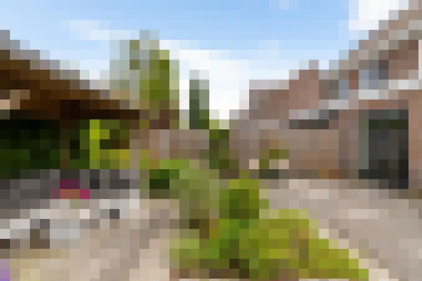 Kleiwerd 60 Groningen thumbnail 22