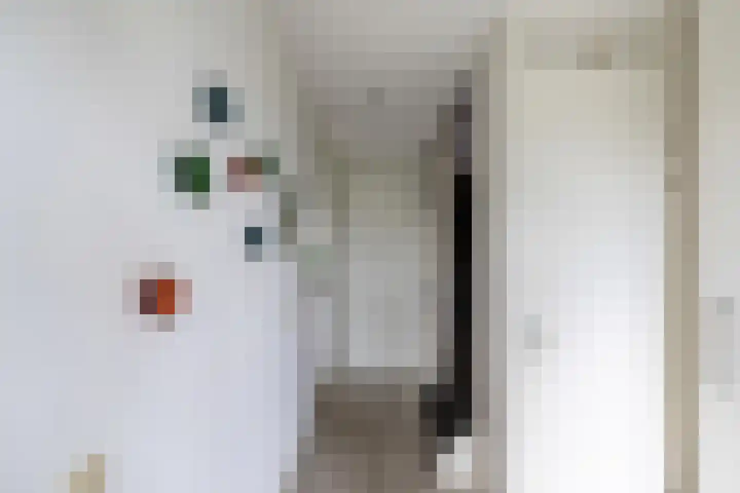 Kleiwerd 60 Groningen thumbnail 6