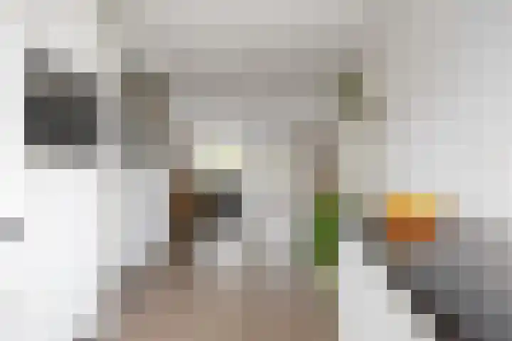 Kleiwerd 71 Groningen thumbnail 18
