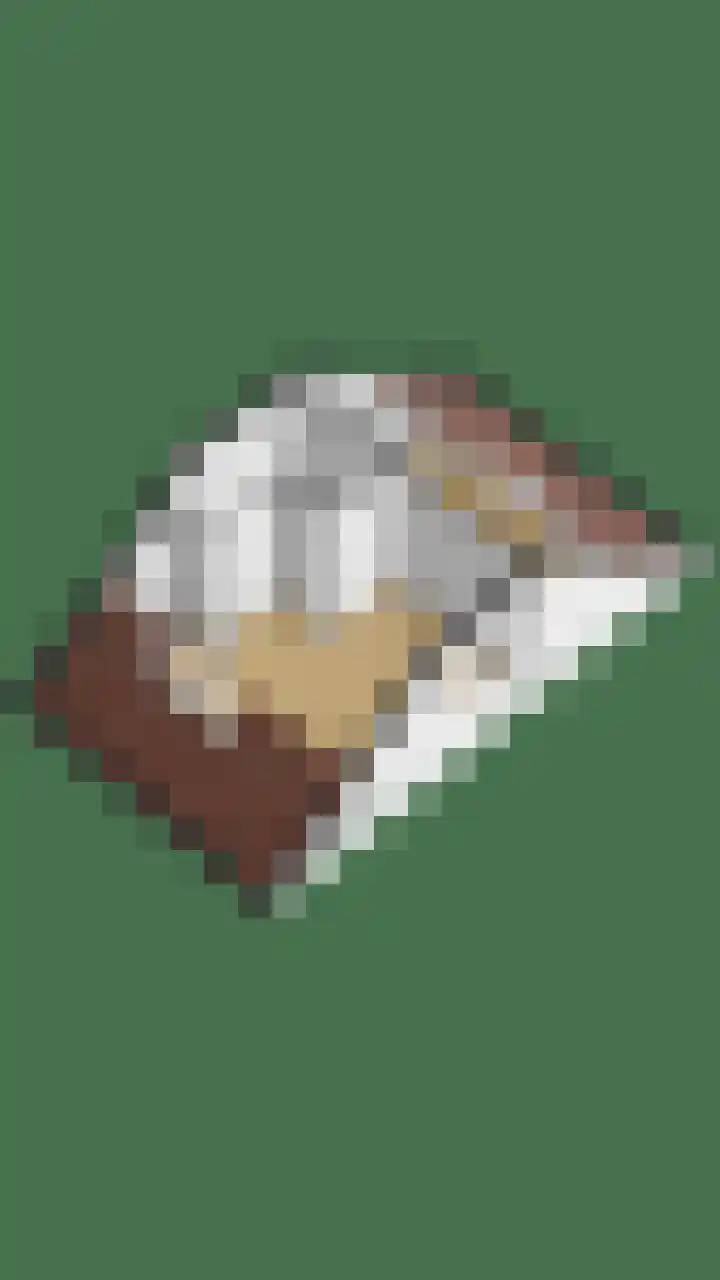 Kleiwerd 71 Groningen thumbnail 49