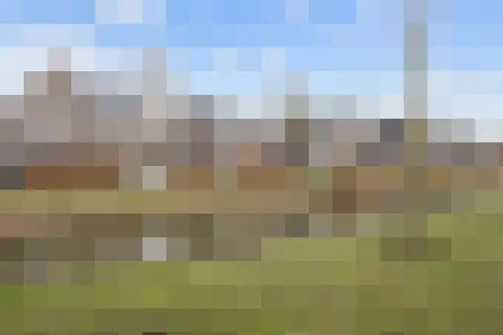 Kleiwerd 71 Groningen thumbnail 7