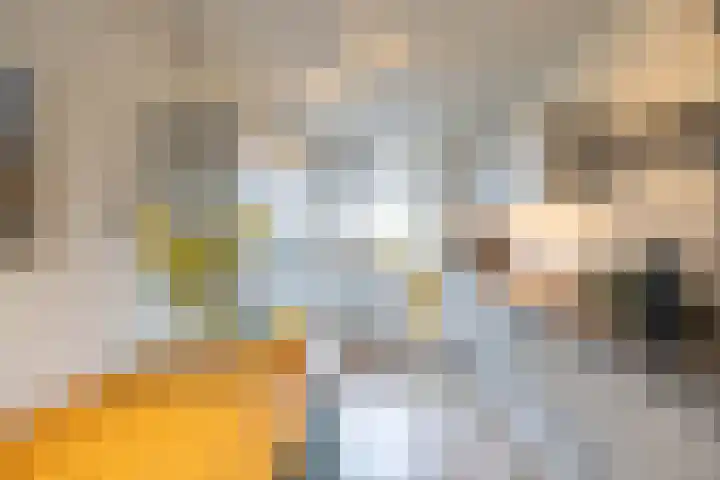Kleiwerd 78 Groningen thumbnail 12