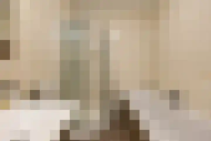 Kleiwerd 78 Groningen thumbnail 23