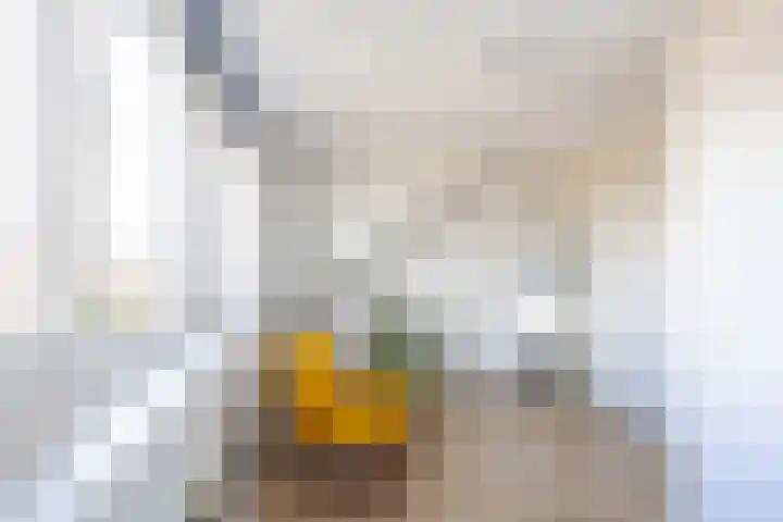 Kleiwerd 78 Groningen thumbnail 30