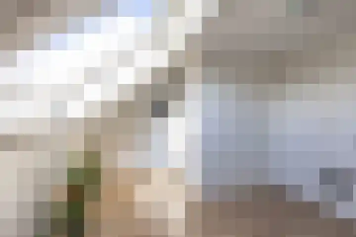 Kleiwerd 78 Groningen thumbnail 31