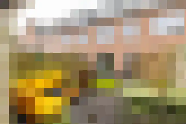 Kleiwerd 78 Groningen thumbnail 32