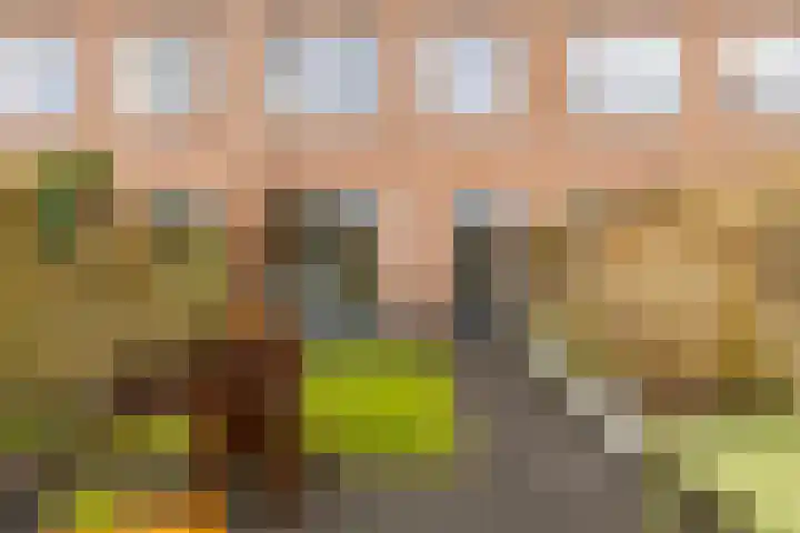 Kleiwerd 78 Groningen thumbnail 33