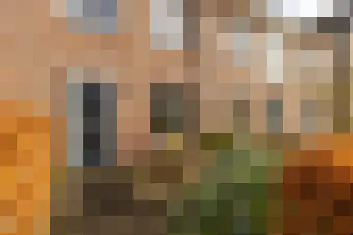 Kleiwerd 78 Groningen thumbnail 36